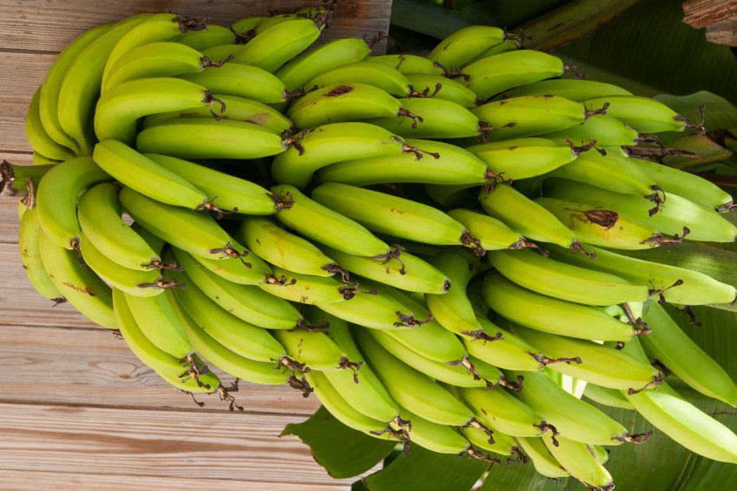 bananas