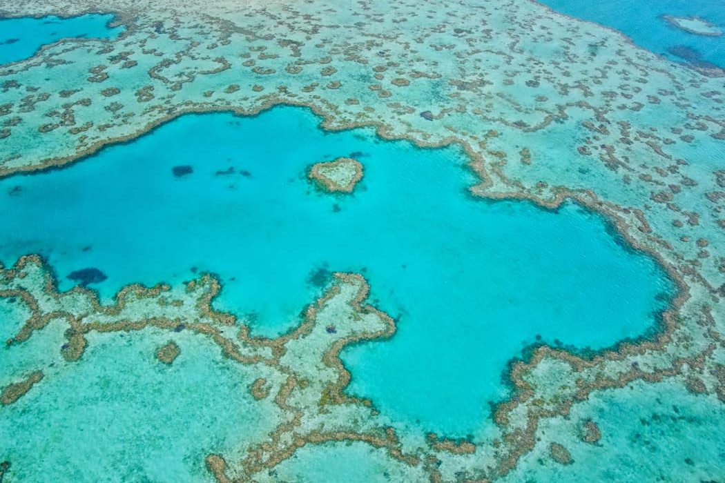Coral reef Australia
