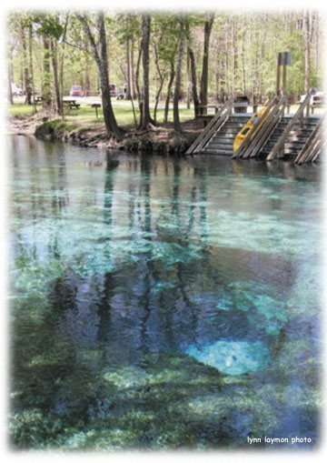 Tips For Ginnie Springs: A Perfect Florida Oasis - Florida Trippers