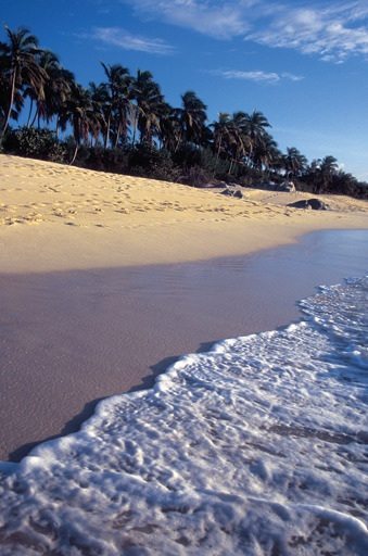 British Virgin Islands