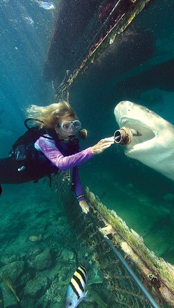 Animal Encounters Curaçao