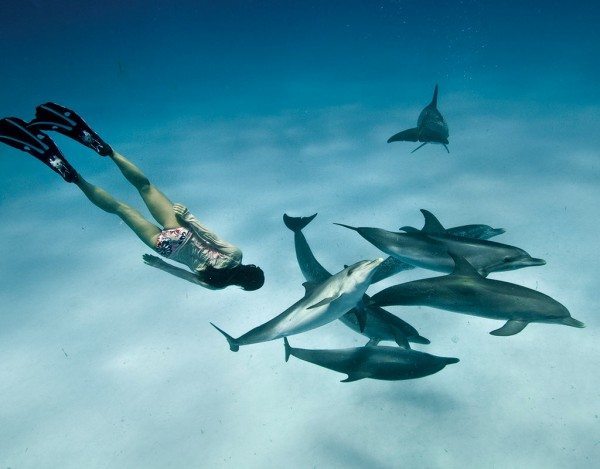 Scuba Diving | Snorkeler and dolphins