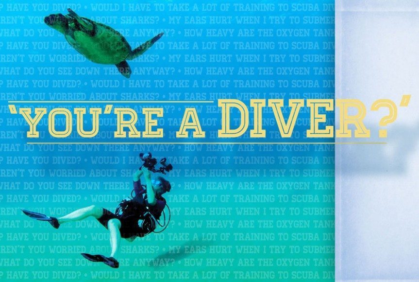 ‘You’re A Diver?’ Talking Scuba With a Nondiver Scuba Diving News