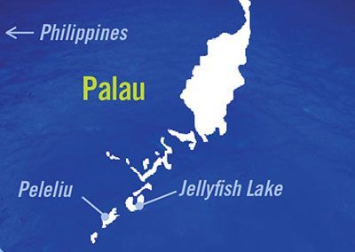 Map of Palau
