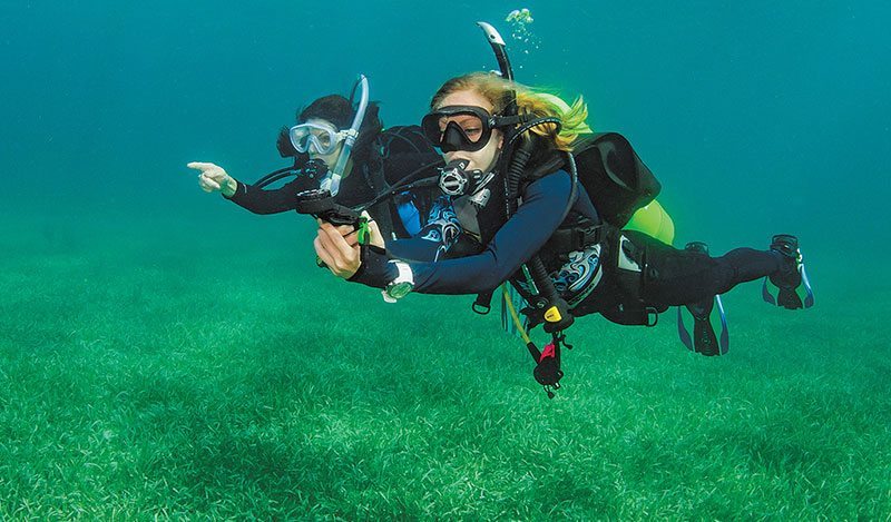 Divers navigating with a compass