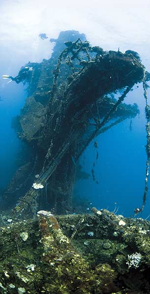 Saratoga Wreck