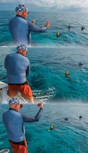 Diving from a live boat