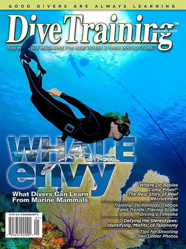 Current edition cover.
