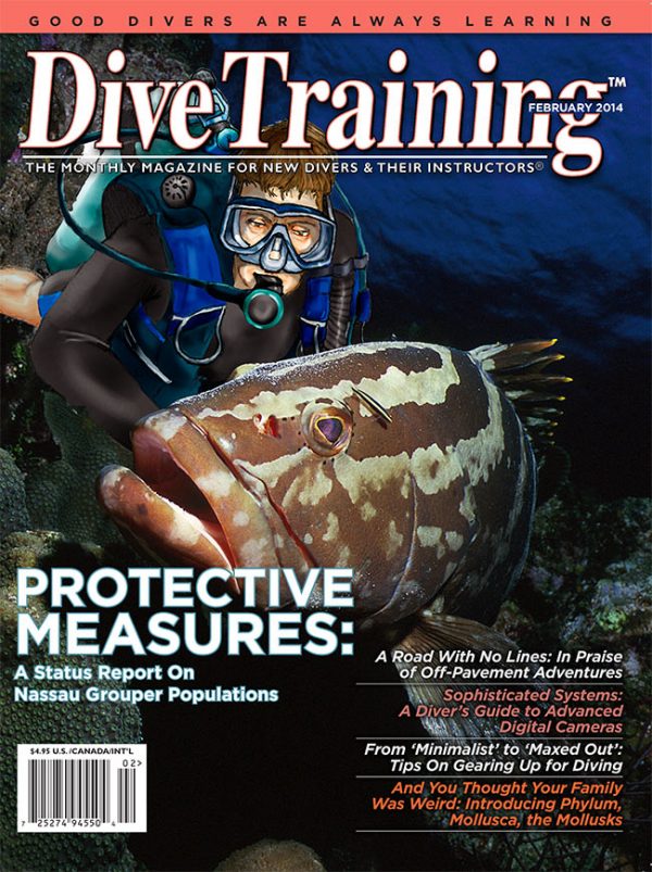 Scuba Diving | Dive Training Magazine