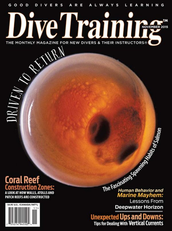 Scuba Diving | Dive Training Magazine, November 2015