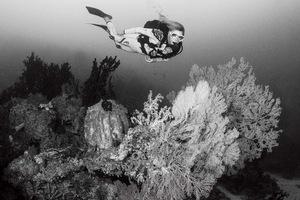 Challenging The Rules Of Scuba Diving Scuba Diving News Gear Education Dive Training Magazine