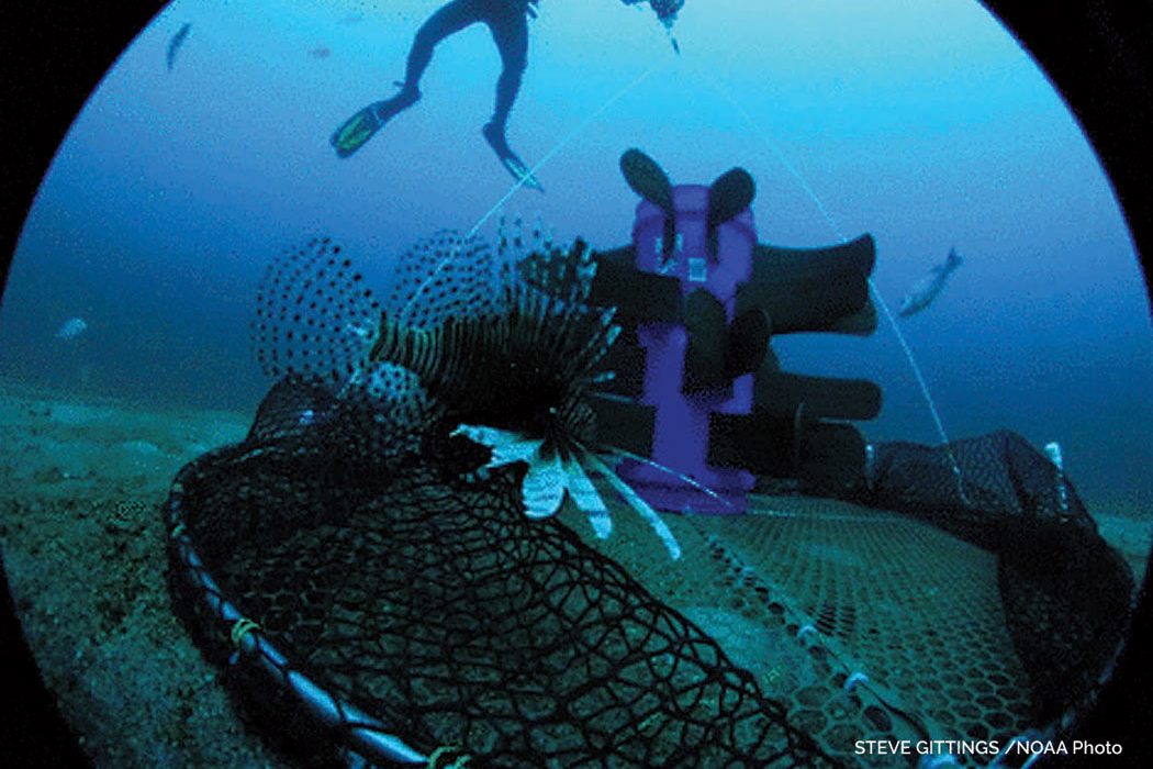 NOAA lionfish trap
