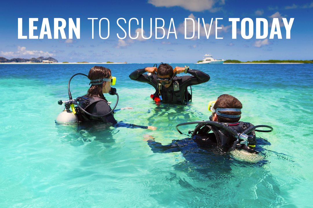 Learn to Scuba Dive | Getting Started | Dive Training Magazine