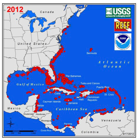 2012 lionfish sightings