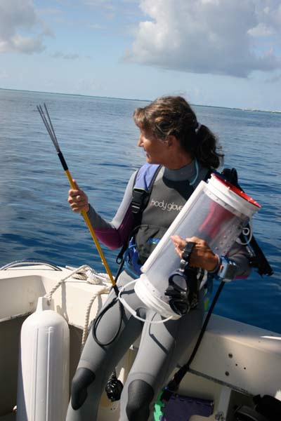 scuba diver lionfish spear