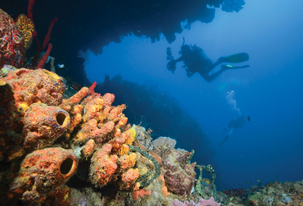 scuba diving in Dominica