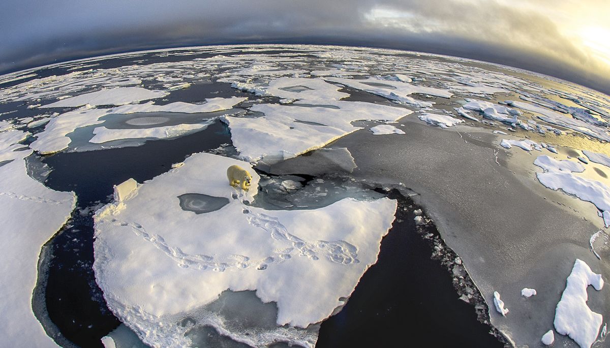 MICHAEL AW OCEAN GEOGRAPHIC PHOTO