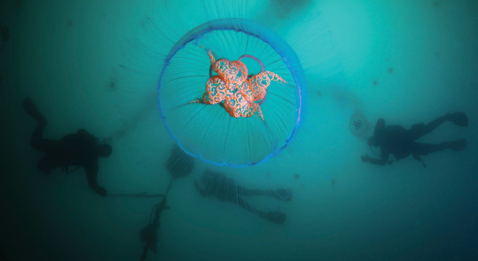 scuba diving in Strýtan, Iceland