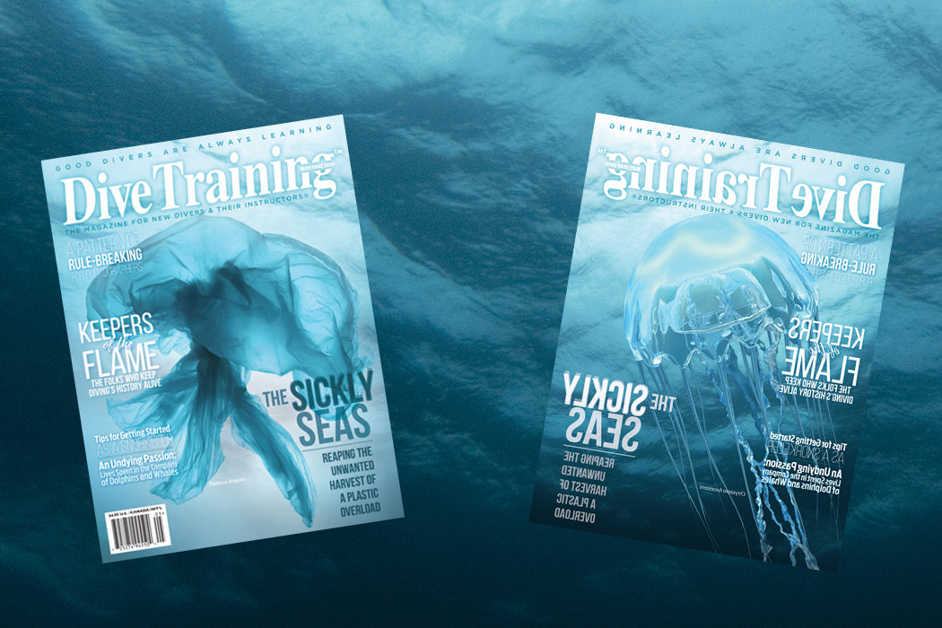 This image portrays Inside the May/June 2019 Issue by Dive Training Magazine | Scuba Diving Skills, Gear, Education.