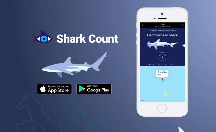 This image portrays SHARKS — THERE’S AN APP FOR THAT by Dive Training Magazine | Scuba Diving Skills, Gear, Education.