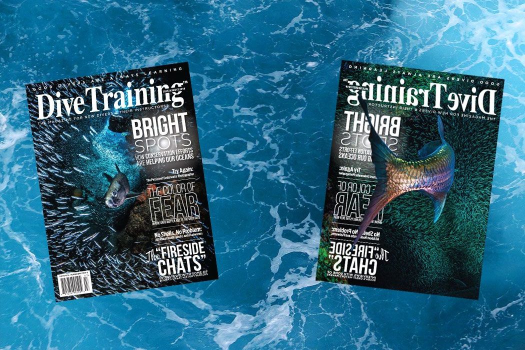 This image portrays Inside the July/August 2019 Issue by Dive Training Magazine | Scuba Diving Skills, Gear, Education.