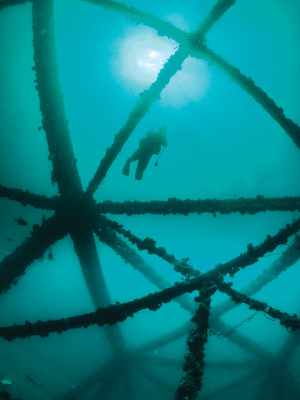 Scuba Diving in Panama City Beach