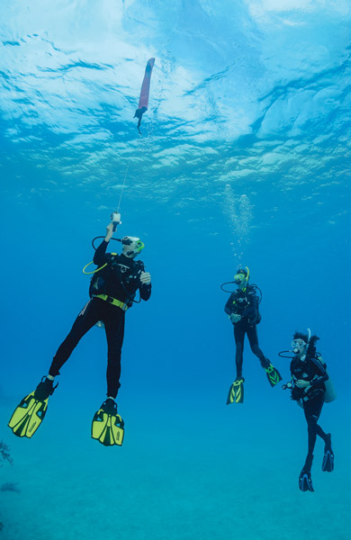 scuba divers using inflatable surface marker buoy