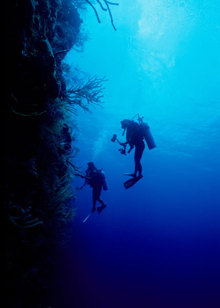 Site Divers Divers.