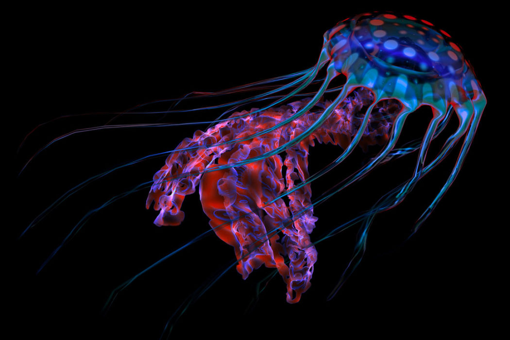 jellyfish glowing