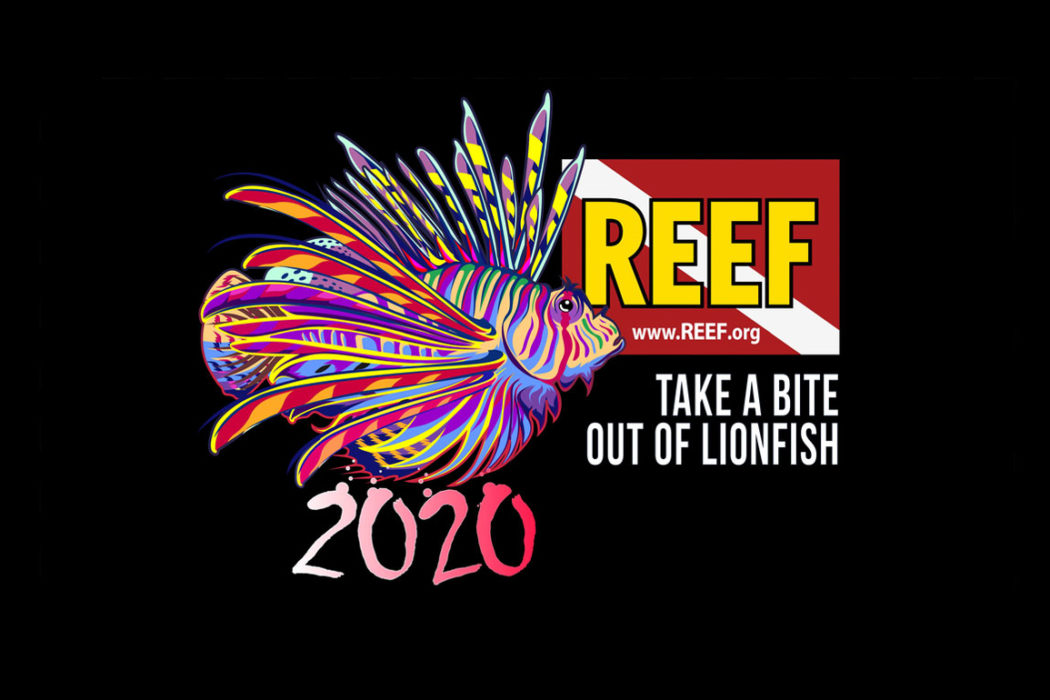 REEF 2020 Lionfish Derby Logo