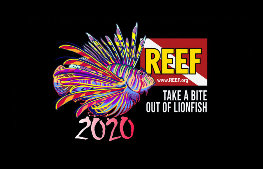 REEF 2020 Lionfish Derby Logo